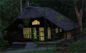 Night Stay in Kabini River Lodge